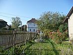 Třibřichy