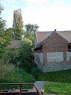 Třibřichy