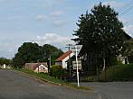 Třibřichy