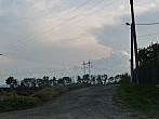 Třibřichy