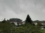 Olešná