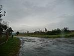 Třibřichy
