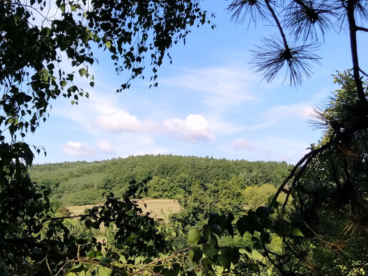 Habrovany