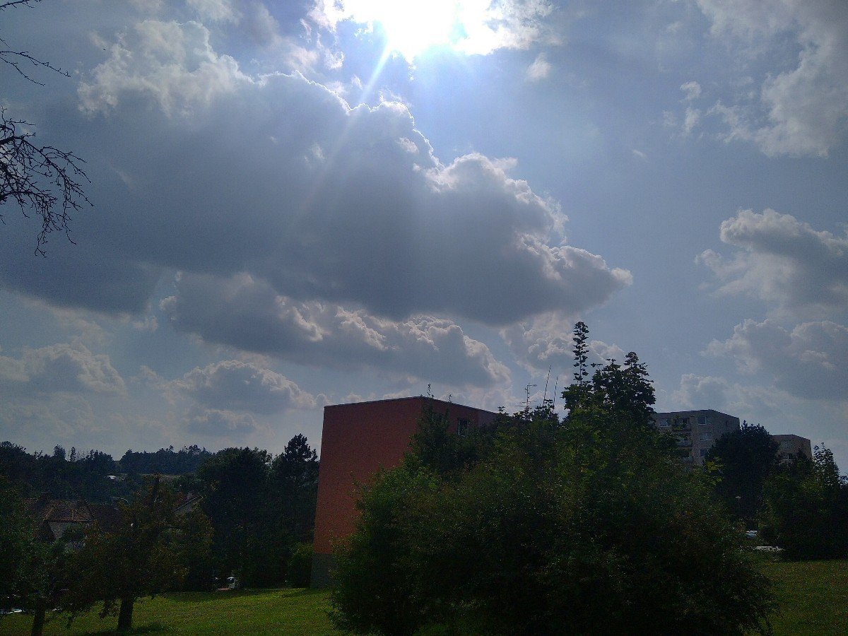 Borovina