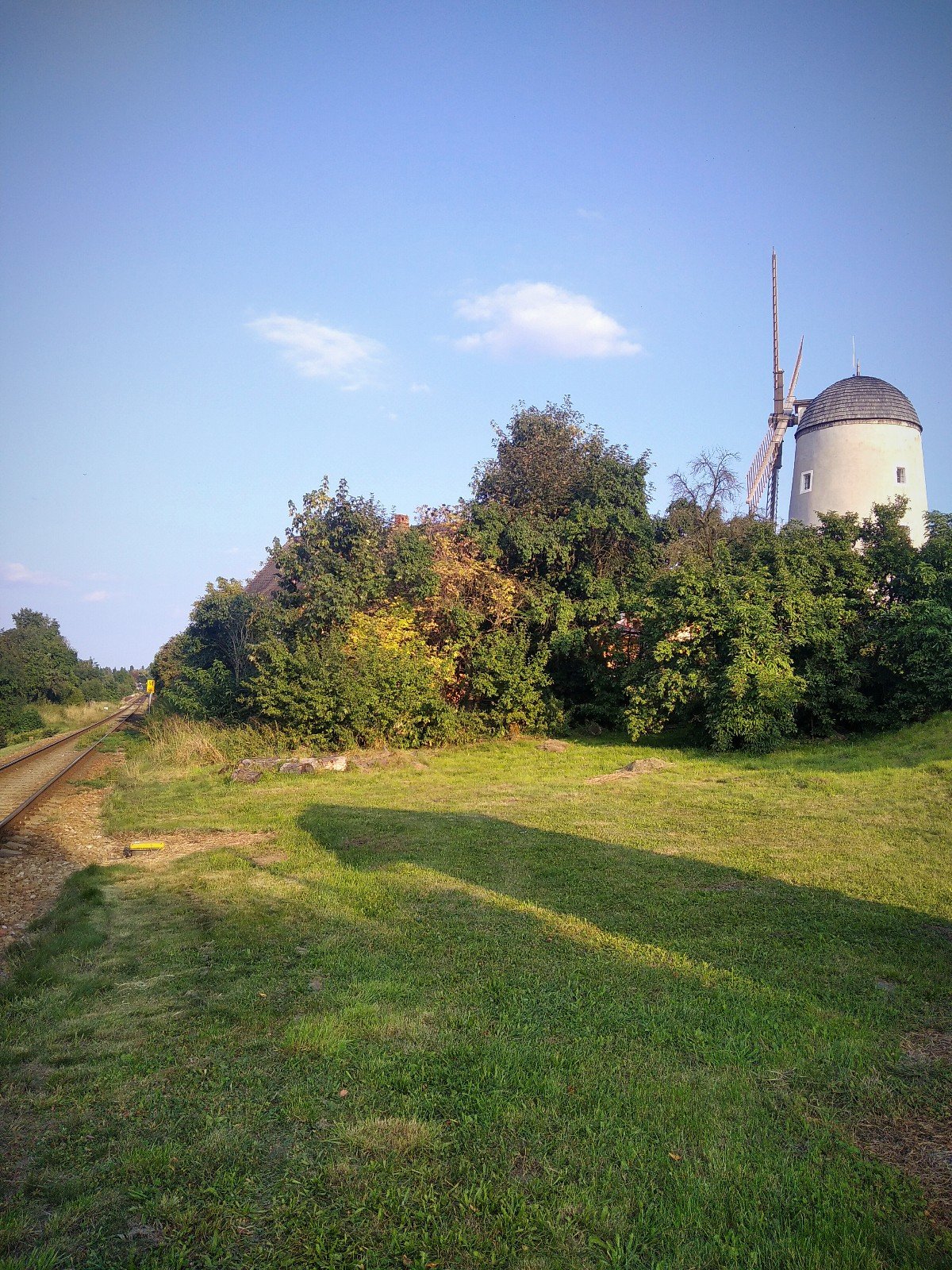 Borovina