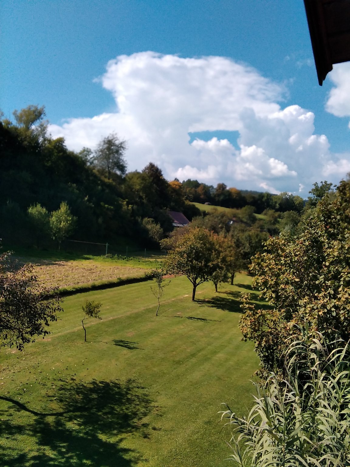 Hvozdnica