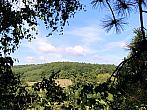 Habrovany