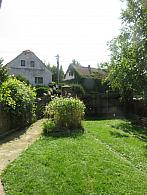 Třibřichy