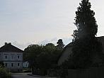 Třibřichy