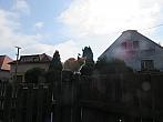 Třibřichy