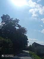 Kostelec nad Labem