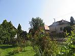 Třibřichy