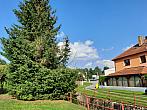 Olešná