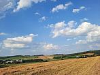 Olešná