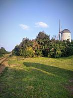 Borovina