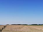 Hostákov