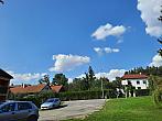 Olešná