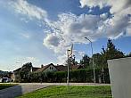 Olešná