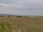 Stařeč
