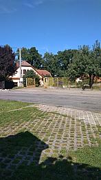 Třibřichy