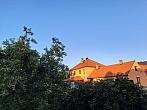 Olešná