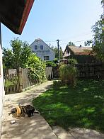 Třibřichy