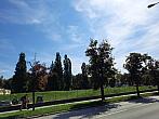 Jihlava