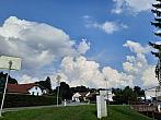 Olešná