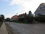 Třibřichy