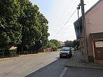 Třibřichy