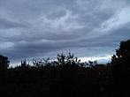 Olešná