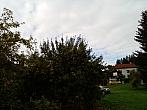 Olešná