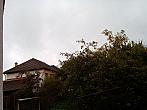 Olešná