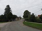 Třibřichy