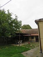 Třibřichy