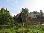 Třibřichy