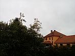 Olešná