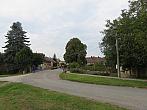 Třibřichy