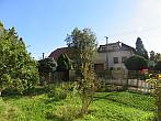 Třibřichy