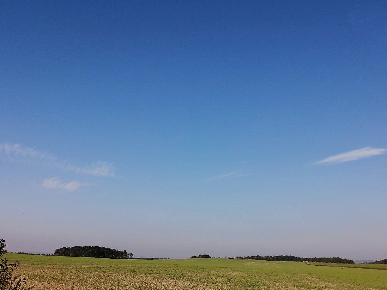 Hostákov