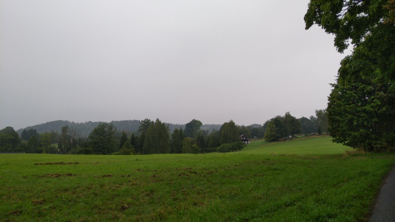 Sněžná