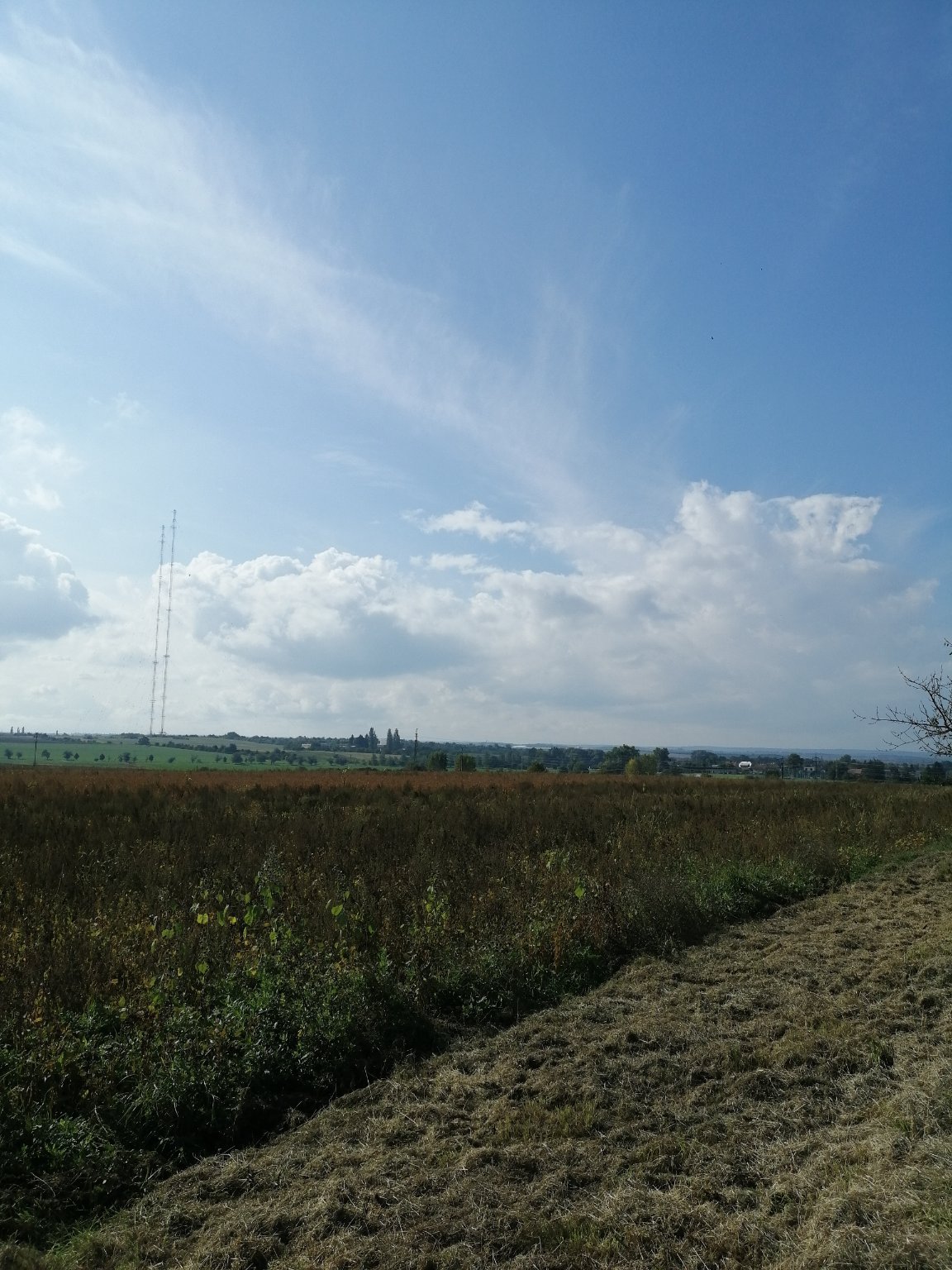 Český Brod