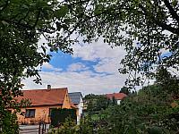 Olešná
