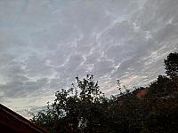 Olešná