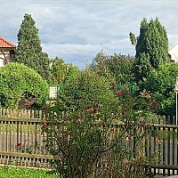 Třibřichy