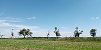 Lukovany