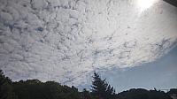 Františkov nad Ploučnicí 