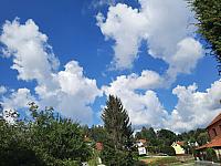 Olešná