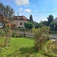 Třibřichy