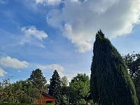 Olešná